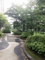 Punggol Drive (Punggol), HDB Executive #180797732
